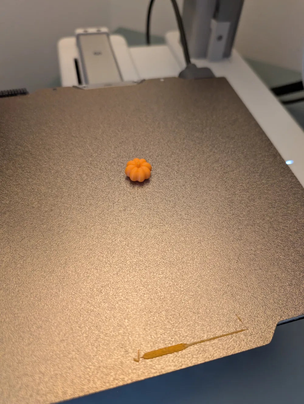 Cute Mini Pumpkin